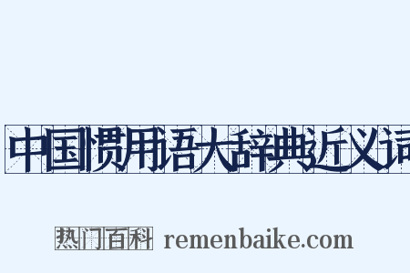 中国惯用语大辞典近义词是什么意思的图片